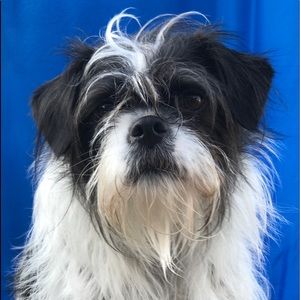 Meet your Posher, Jane